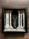 Horned God Paper Cut Box Frame